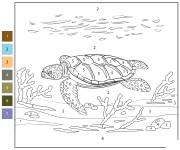 Coloriage Tortue de mer &agrave; dos plat par num&eacute;ro