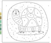 Coloriage Tortue dessin&eacute; &agrave; la main par num&eacute;ro