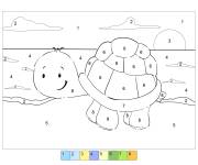 Coloriage Tortue facilement dessin&eacute; par num&eacute;ro