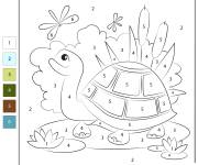 Coloriage Tortue s'amuse avec les insectes par num&eacute;ro