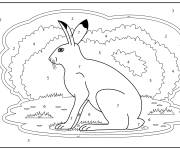 Coloriage Un li&egrave;vre d&eacute;taill&eacute; par num&eacute;ro