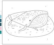 Coloriage Une grosse baleine par num&eacute;ro