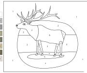 Coloriage Wapiti num&eacute;rot&eacute;