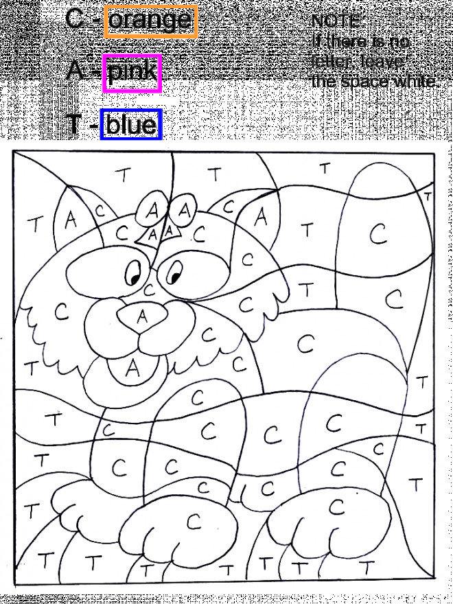 Coloriage Magique 6Eme À Imprimer Gratuit  Maternelle Maxime Loupiot