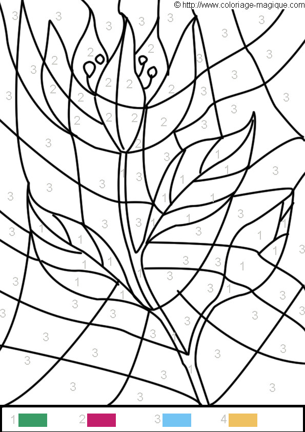 Coloriage Magique Rose Facile Dessin Gratuit à Imprimer