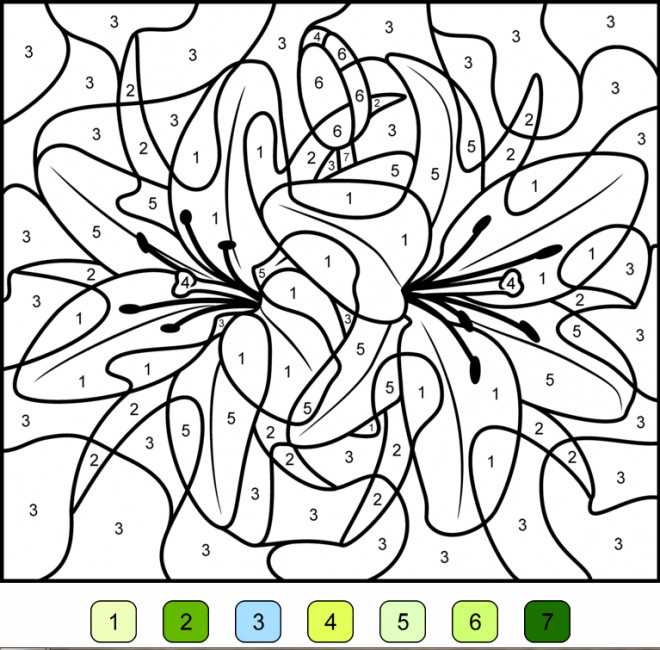 Coloriage Avec Numero Pour Adulte