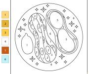 Coloriage Cacahu&egrave;te par num&eacute;ro