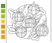 Coloriage Champ de citrouilles par num&eacute;ro