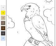 Coloriage Aigle par num&eacute;ro