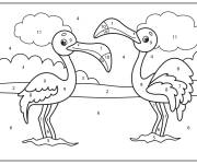 Coloriage B&eacute;b&eacute; Flamants roses par num&eacute;rto