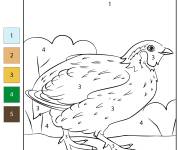 Coloriage Caille num&eacute;rot&eacute;