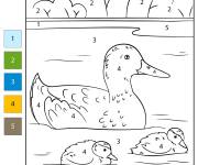 Coloriage Canard avec canetons num&eacute;rot&eacute;