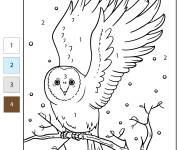 Coloriage Chouette d'hiver num&eacute;rot&eacute;