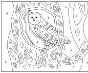 Coloriage Chouette effraie par nombre