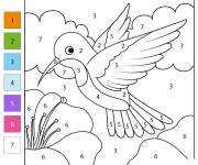 Coloriage Colibri oiseau par num&eacute;ro