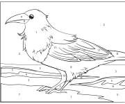 Coloriage Corbeau r&eacute;aliste