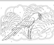 Coloriage Couleur du perroquet