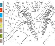 Coloriage Deux oiseaux Aras par num&eacute;ro