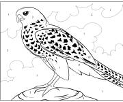 Coloriage Faucon en couleur par num&eacute;ro