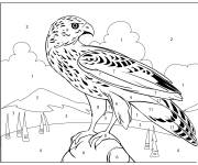 Coloriage Faucon num&eacute;rot&eacute; en ligne