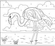 Coloriage Flamant en couleur par num&eacute;ro