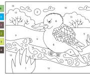 Coloriage Image B&eacute;b&eacute; Kookaburra par num&eacute;ro