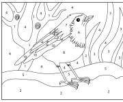 Coloriage Image du oiseau Rouge-gorge par num&eacute;ro