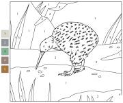 Coloriage Kiwi tachet&eacute; num&eacute;rot&eacute;
