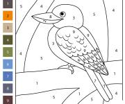 Coloriage Kookaburra en vecteur par num&eacute;ro