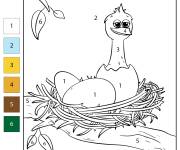 Coloriage Nid d'oiseau par num&eacute;ro