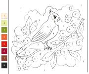 Coloriage Oiseau Cardinal par num&eacute;ro