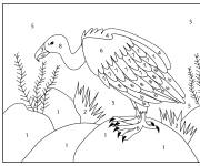 Coloriage Oiseau Vautour par num&eacute;ro
