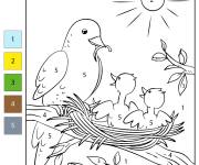 Coloriage Oiseaux de printemps num&eacute;rot&eacute;