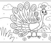 Coloriage Paon le beau oiseau par num&eacute;ro