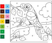 Coloriage Perroquet sur les branches d'arbre