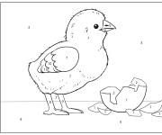 Coloriage Poussin r&eacute;cemment n&eacute;e par num&eacute;ro