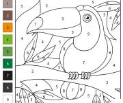 Coloriage Toucan