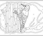 Coloriage Un Pic d&eacute;taill&eacute; par num&eacute;ro