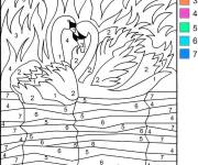 Coloriage Couple de cygne magique