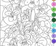 Coloriage et dessins gratuit Diff&eacute;rentes fleurs pour adulte à imprimer