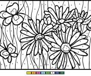 Coloriage Fleurs Marguerite par num&eacute;ro magique