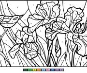 Coloriage Illustration d'Iris par num&eacute;ro
