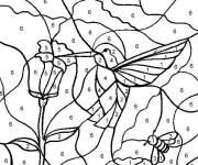 Coloriage et dessins gratuit Le colibri magique par num&eacute;ro à imprimer