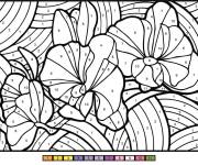 Coloriage Orchid&eacute;e magique par num&eacute;ro