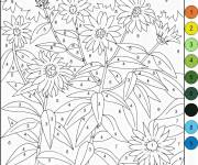 Coloriage Tournesols Magique pour adultes
