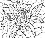 Coloriage et dessins gratuit Une belle rose magique par num&eacute;ro à imprimer