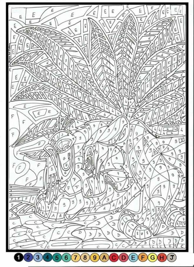 Coloriage Magique adulte dessin gratuit à imprimer