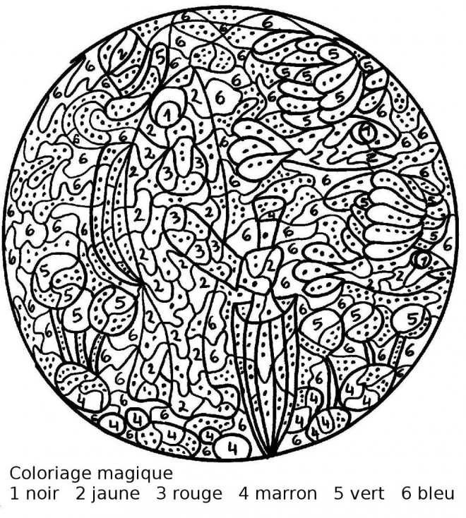Coloriage et dessins gratuits Magiques Mandala en couleur à imprimer
