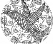 Coloriage et dessins gratuit Mandala Colibris adulte à imprimer