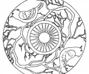 Coloriage et dessins gratuit Mandala Colibris et Soleil à imprimer